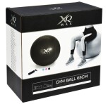 XQMAX Gymnastický míč GYMBALL XQ MAX 65 cm