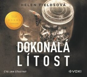 Dokonalá lítost Helen Fieldsová audiokniha