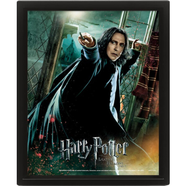 Harry Potter Obraz 3D - Snape - EPEE