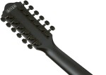 Ibanez AEG1221-BOT