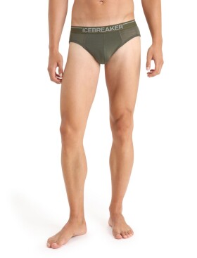 Pánské slipy ICEBREAKER Anatomica Briefs, Loden velikost: XL