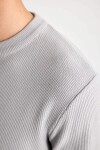 DEFACTO Standard Fit Crew Neck Knitwear Sweater