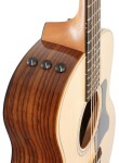 Taylor GS Mini-e Rosewood Plus