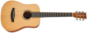 Tanglewood TR2
