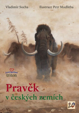 Pravěk v českých zemích - Vladimír Socha, Petr Modlitba