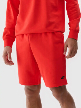 Pánské kraťasy 4F Velikost: L
