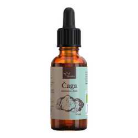Serafin Tinktura z hub Čaga 30 ml