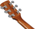 Ibanez PC34CE NT