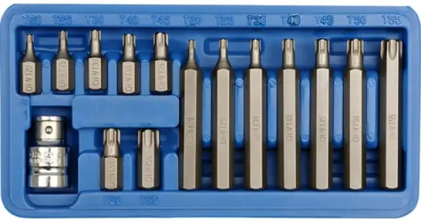 Vorel Sada bitů 15 ks CrV TORX / Sada bitů / T20-T55 / Délky 30 a 75 mm / Plastový box (TO-66580)