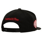 Mitchell & Ness Pánská Kšiltovka Detroit Red Wings Retro Sport Snapback Vintage