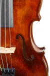 Violin Schönbach Inferno