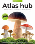 Atlas hub - Liz O’Keefeová