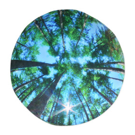 Kulatý polštář - Les - Albi