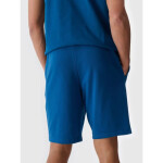 Šortky 4F M 4FWMM00TSHOM543-46S 2XL