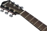 Ibanez AEWC16QA-TKH