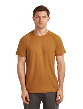 Pánské merino triko s krátkým rukávem ICEBREAKER Mens 200 Waffle Elevation SS Tee, Trail velikost: XL