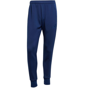 Kalhoty adidas Tiro 25 M JC5139 2 XL