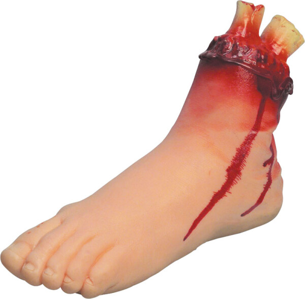 Erfurth.cz Noha utržená