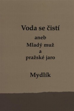 Voda se čistí aneb Mladý muž pražské jaro Miroslav Krůta