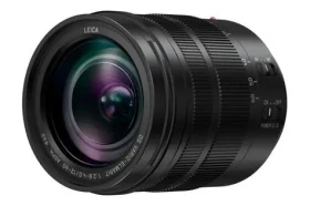 Panasonic Lumix 12-600mm f/2,8-4,0 LEICA OIS / Objektiv (H-ES12060E)