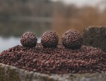 Chytil Boilies Pandemia 16mm 100g Krill