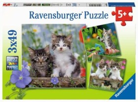 Ravensburger Koťátka