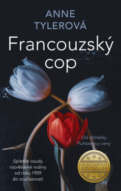 Francouzský cop - Anne Tylerová - e-kniha