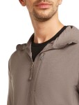 ICEBREAKER Mens Mer 260 Quantum IV LS Zip Hoodie, Porcini velikost: XL