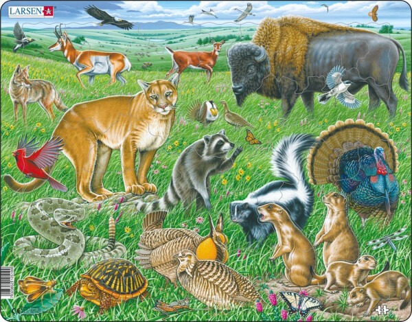 Puzzle Americká prérie