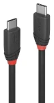 Lindy USB-C - USB-C černá / Kabel / USB 3.2 / 10 Gbit/s / 1 m (36906)