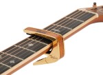 Thalia Taylor Koa Black Logo Gold