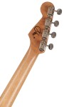 Fender Dhani Harrison Uke WN SB