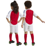 Fotbalová souprava adidas Arsenal London Home Mini Jr IS8146 98 cm