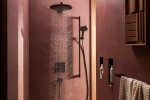 HANSGROHE - Raindance Alive Select S Sprchová hlavice, 3 proudy, EcoSmart, matná černá 24511670