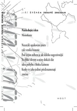 Tekuté zrcadlo
