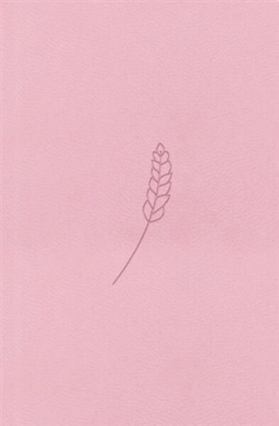 Bible21 – kapesní