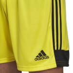 Pánské šortky 19 Adidas