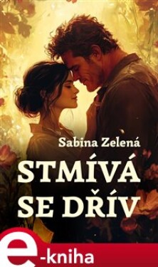 Stmívá se dřív - Sabina Zelená e-kniha