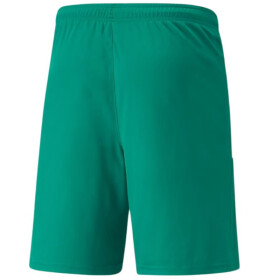 Šortky Puma teamLiga M 704924 05 XL