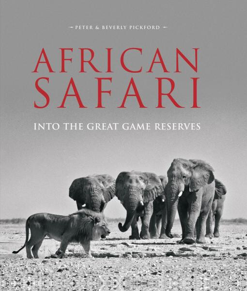 African Safari - Beverley Pickford