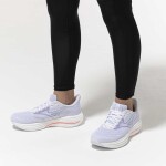 Mizuno Wave Rider 29 J1GD250323