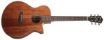 Ibanez AEG220-LGS - Natural Low Gloss