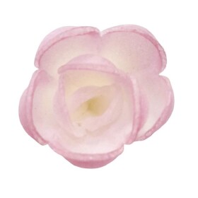 Dekorace oplatková - Růže poupě, růžová stínovaná, 5 ks