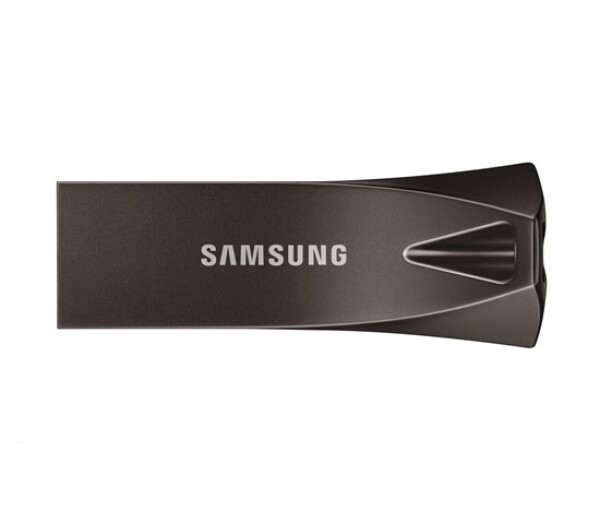Samsung USB 3.2 Gen 1 Flash Disk 256GB - titan grey EDF_1061580