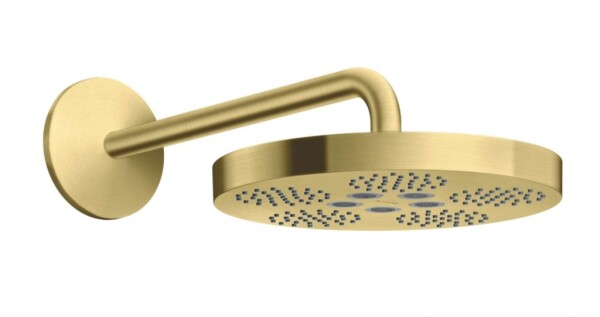 AXOR - One Hlavová sprcha, průměr 28 cm, kartáčovaná mosaz 48491950