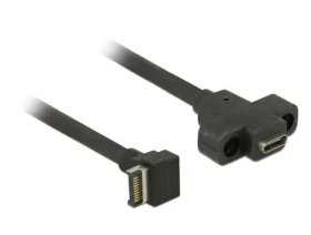 Delock kabel s montáží na panel USB 3.1 Gen 2 key A 20 pin samec USB 3.1 Gen 2 USB Type-C samice 45 cm (85326-DE)
