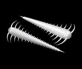 Libra Lures Červ Slayzur 55 12ks - White 001,Libra Lures Červ Slayzur 55 12ks - White 001