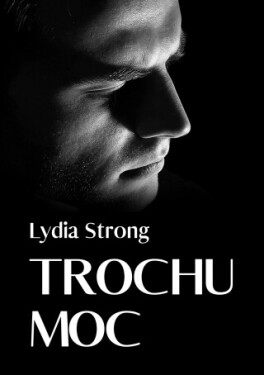 Trochu moc - Lydia Strong - e-kniha