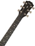 Taylor 314ce SE Rosewood (rozbalené)