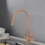 INVENA - Dřezová baterie s filtrem Glamour Trend, béžová BZ-02-F03-V